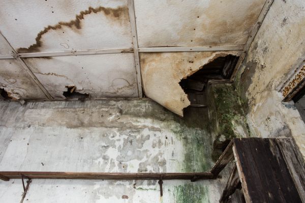 Water Damage Service in Grand Blanc