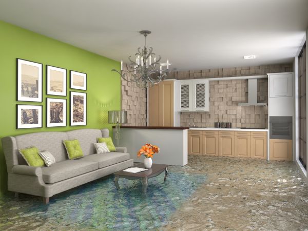 Wet Carpet Drying in Grand Blanc