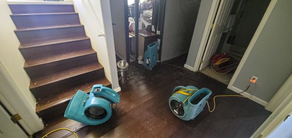 Water Damage Remediation in Grand Blanc